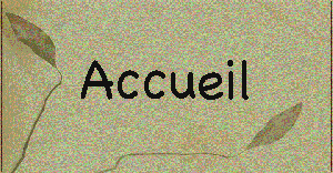 accueil