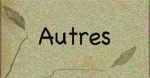 autres