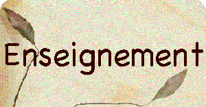 enseignement